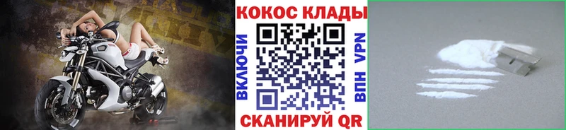 Кокаин Fish Scale  кракен ТОР  Власиха 