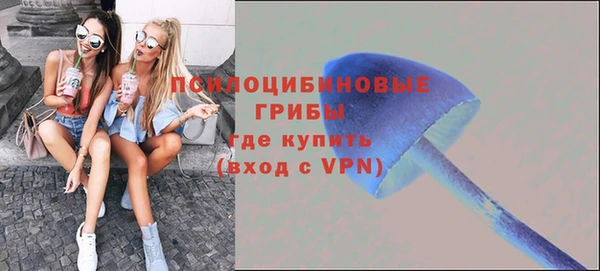 прущие грибы Алексин