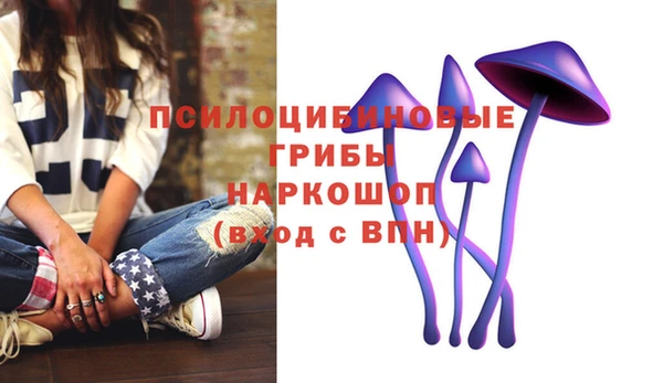героин Алзамай