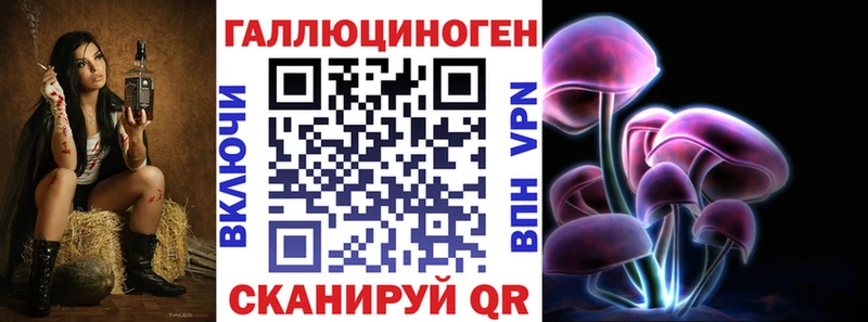 blacksprut ТОР Власиха Псилоцибиновые грибы мицелий